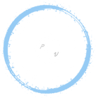 Pioneer Vision Consulting Logo