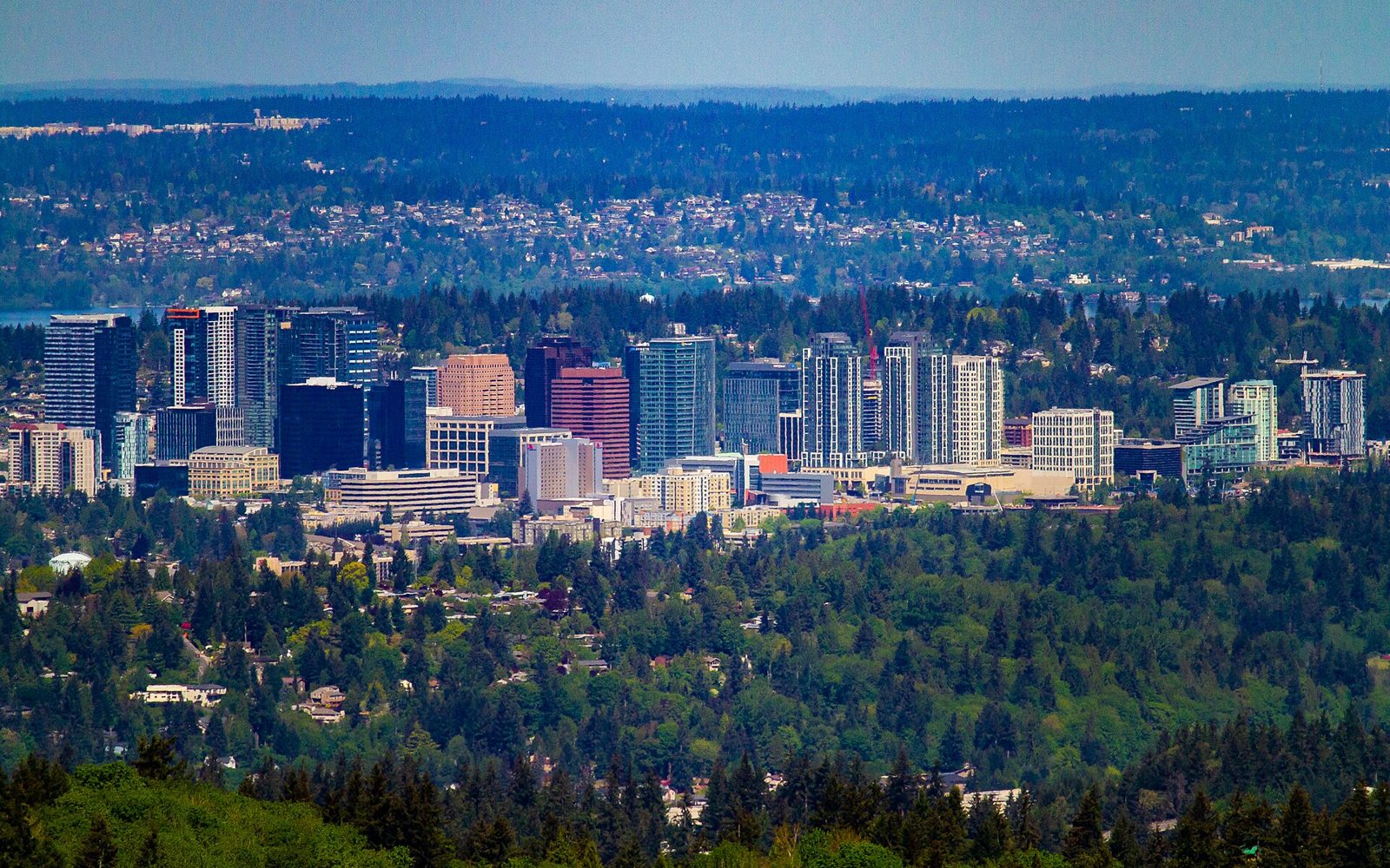 Skyline across the lake in King County, Washington